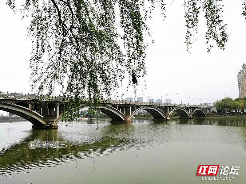 版务活动水美家乡最美河湖宁乡市沩江河南门桥段