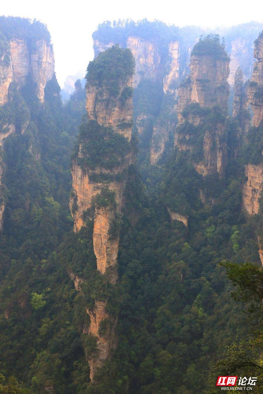 游aaaaa级旅游景区——天子山-张家界