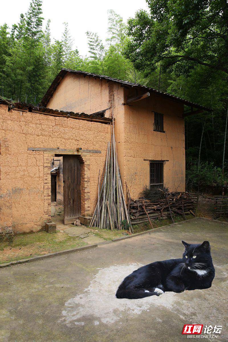 醴陵市嘉树镇玉树村的村民介绍,这是七十年代为给儿子结婚盖的泥墙房