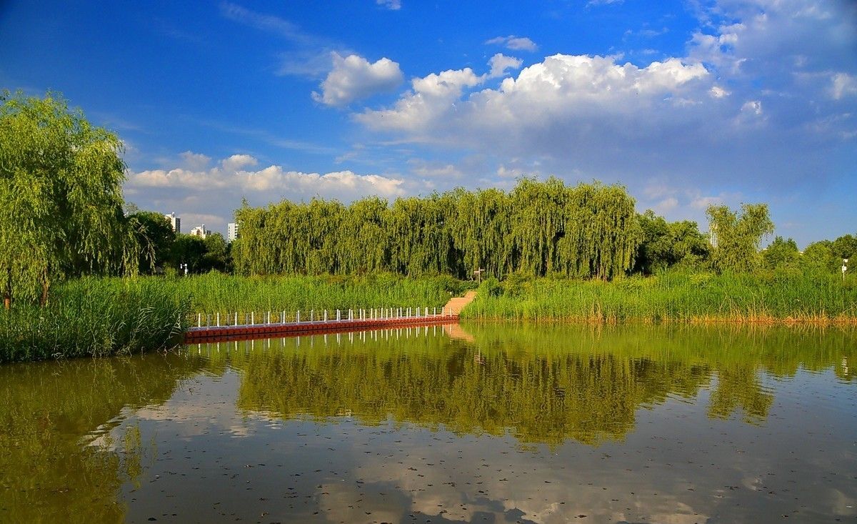 宾阳湿地公园图片