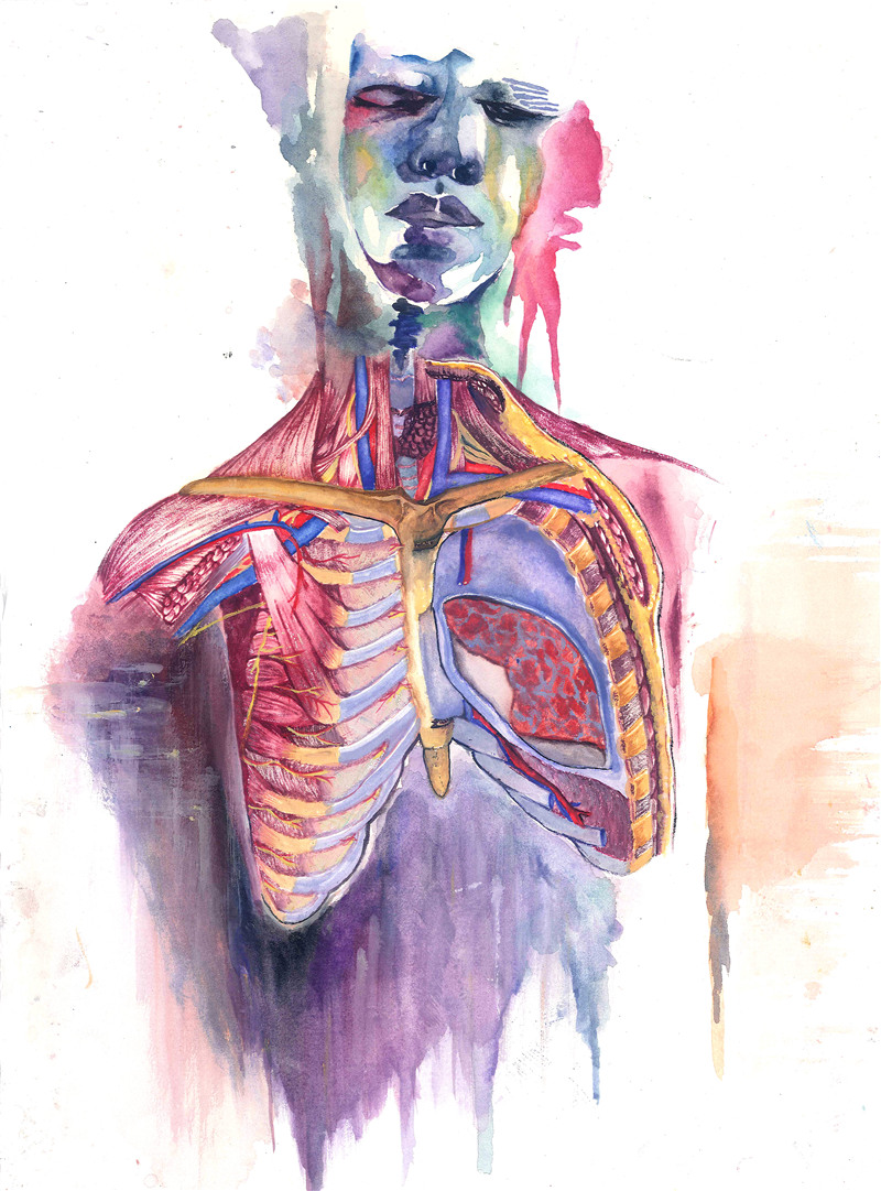 原本细思极恐的解剖学原来也可以这么艺术 看来我对医学的认识太qiou