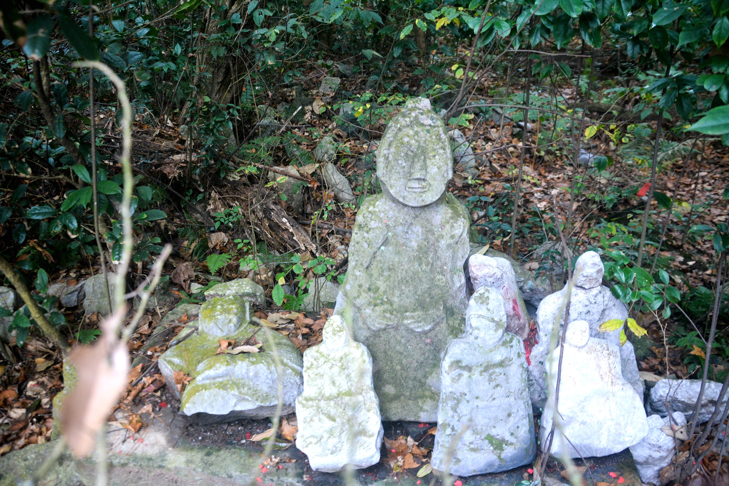 道县古墓图片
