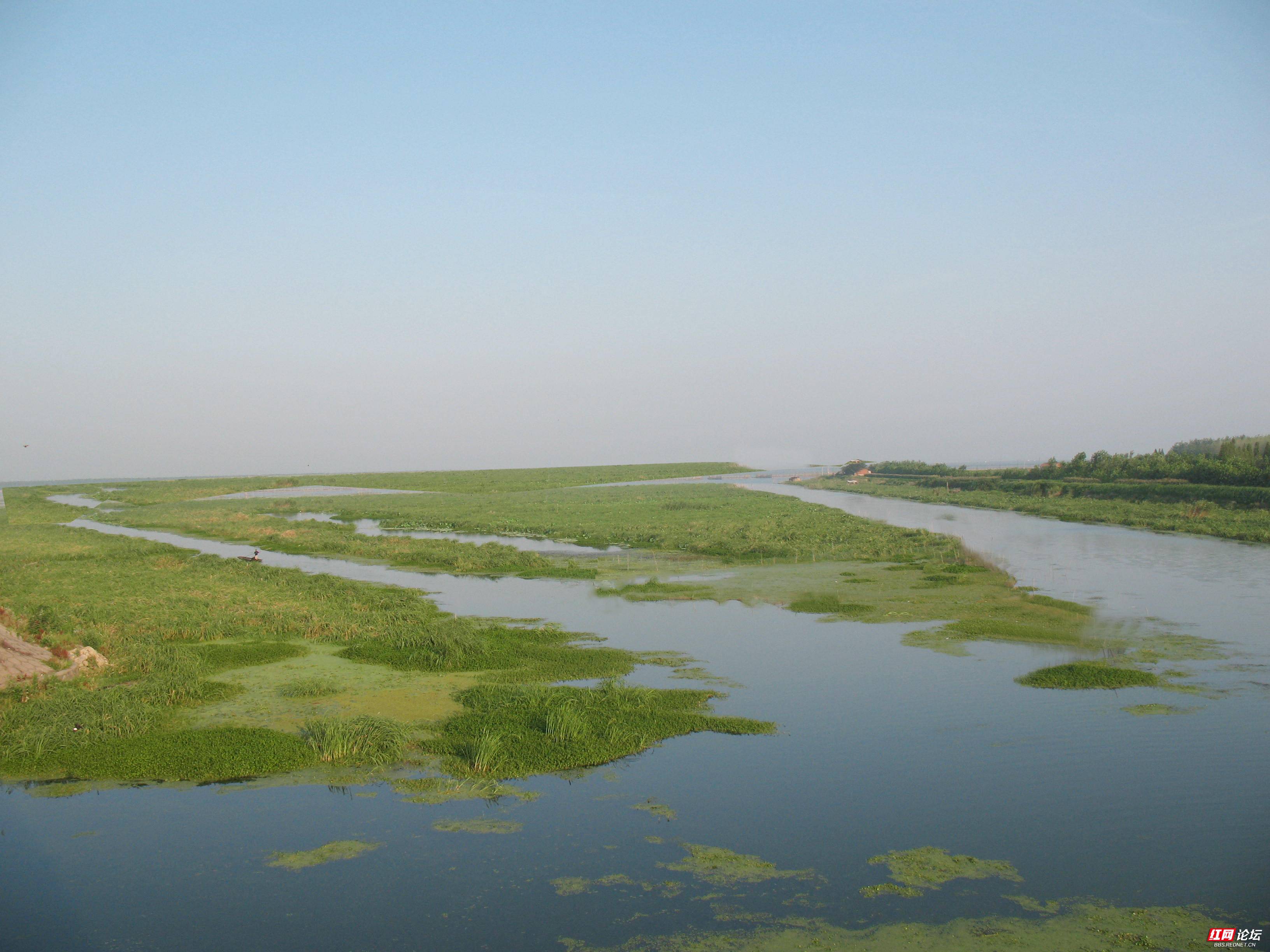 大通湖湿地