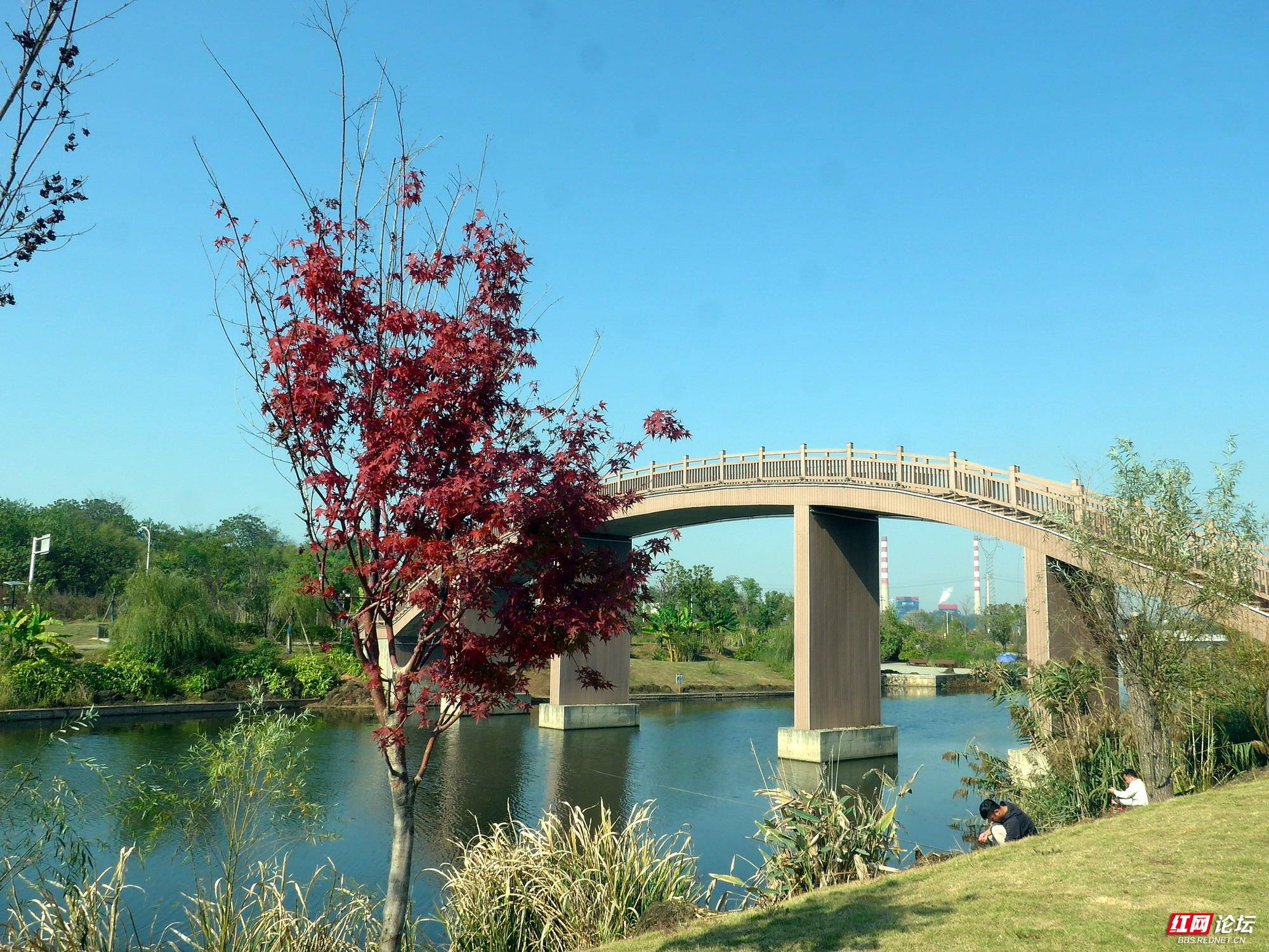 万丰湖湿地公园图片图片