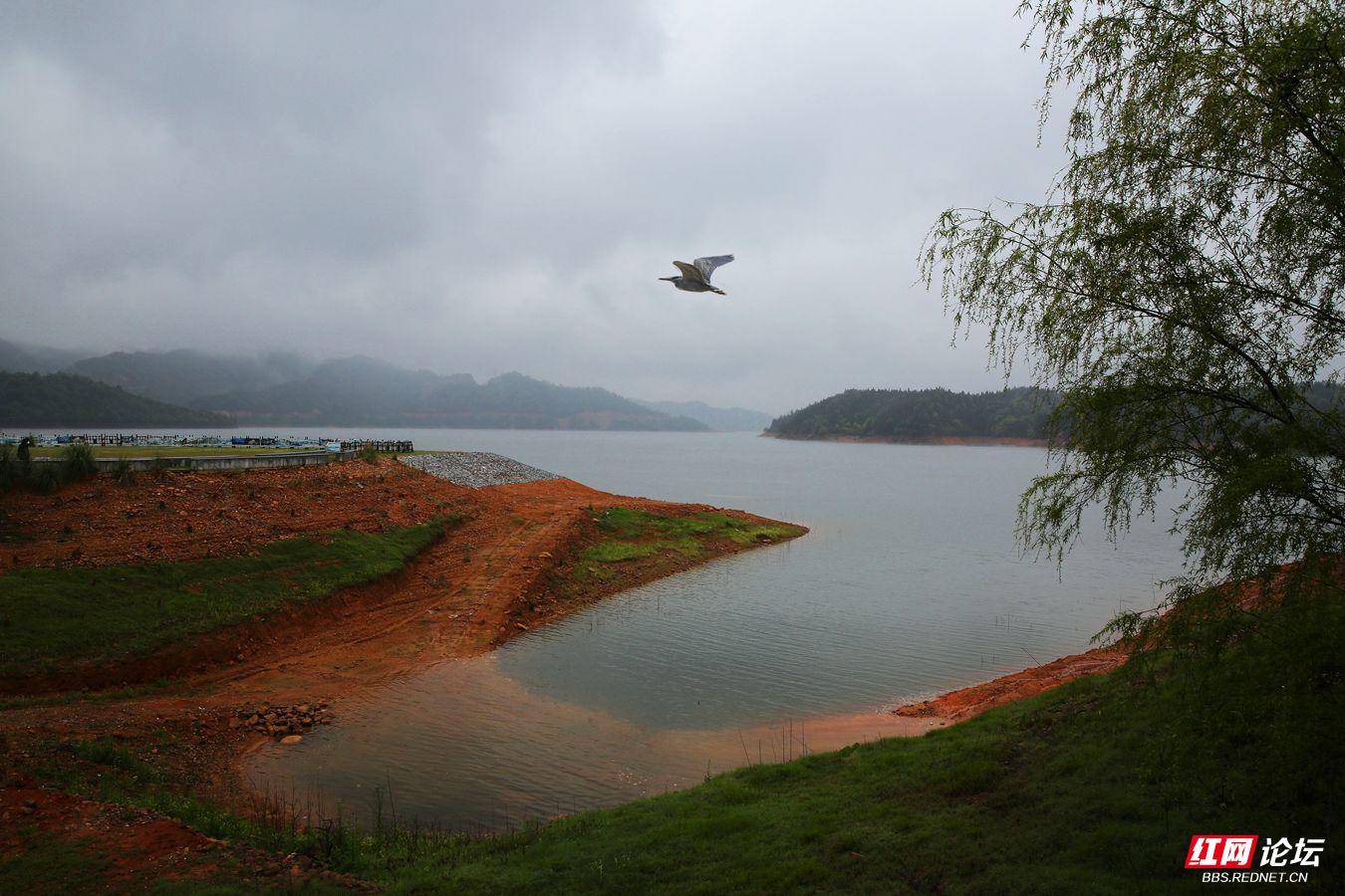 雨后攸县酒仙湖畔一角