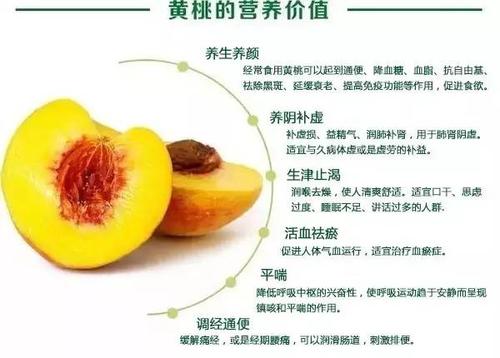 黄桃品种大全介绍图片