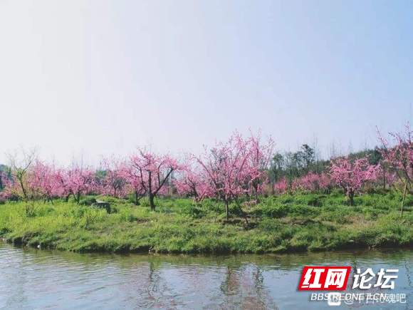 益阳紫薇村风景度假区图片