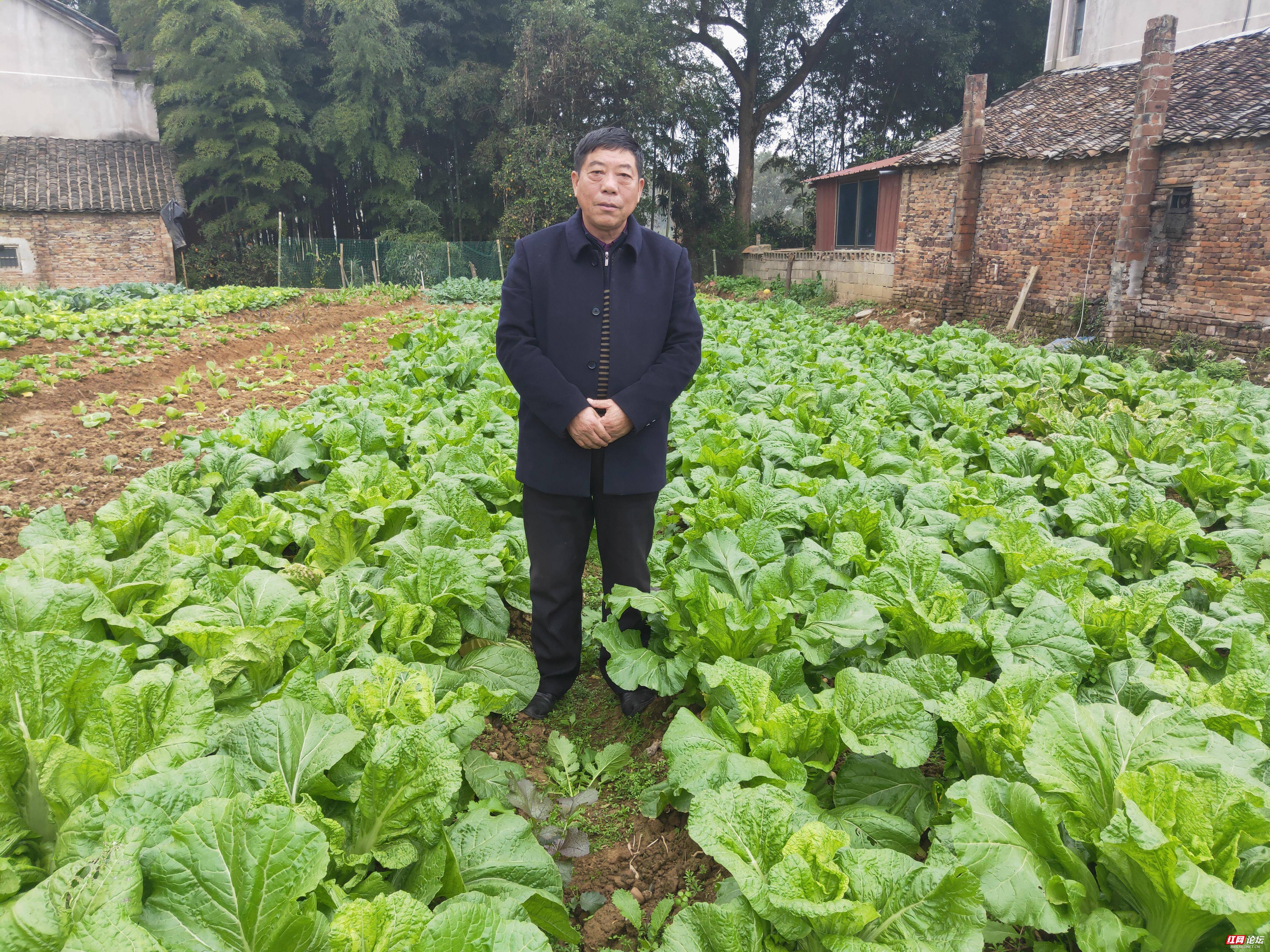 资阳:擦菜子让富民村村民走上致富路