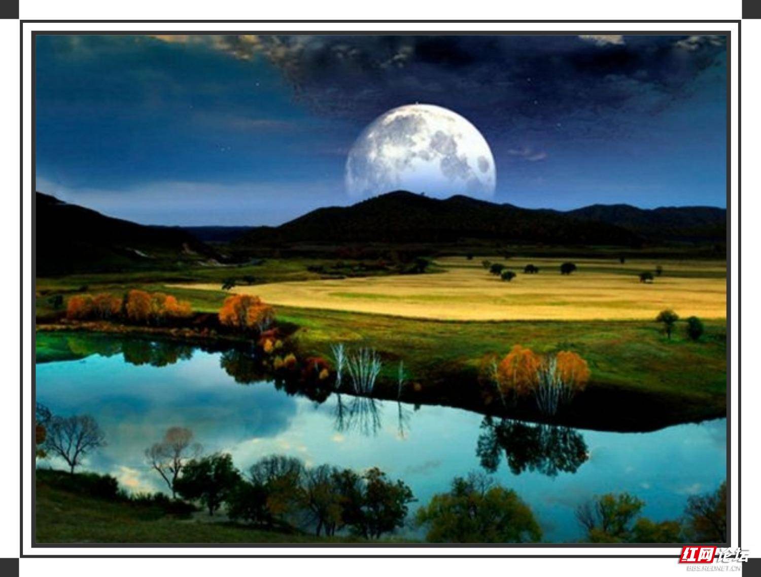 草原月夜图片