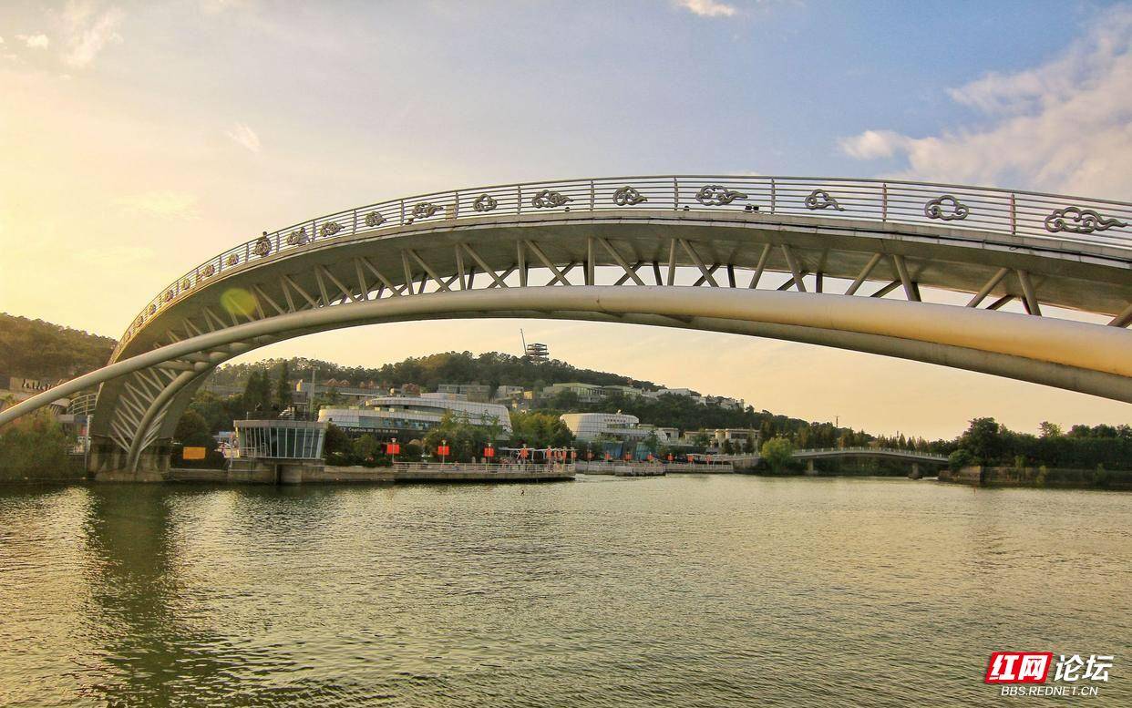 南太湖大桥图片