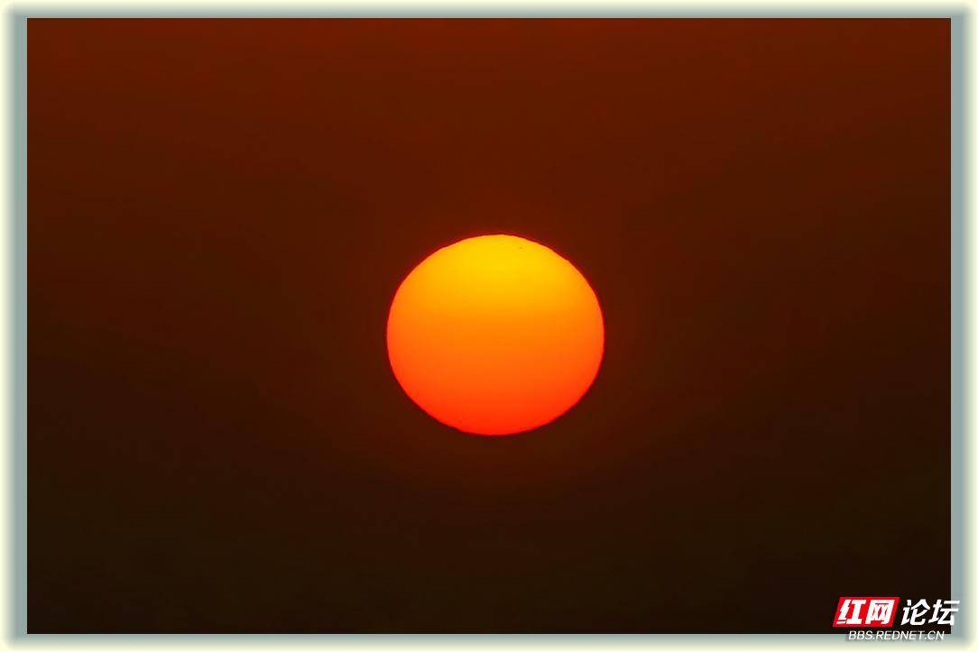 早晨红彤彤的太阳图片图片