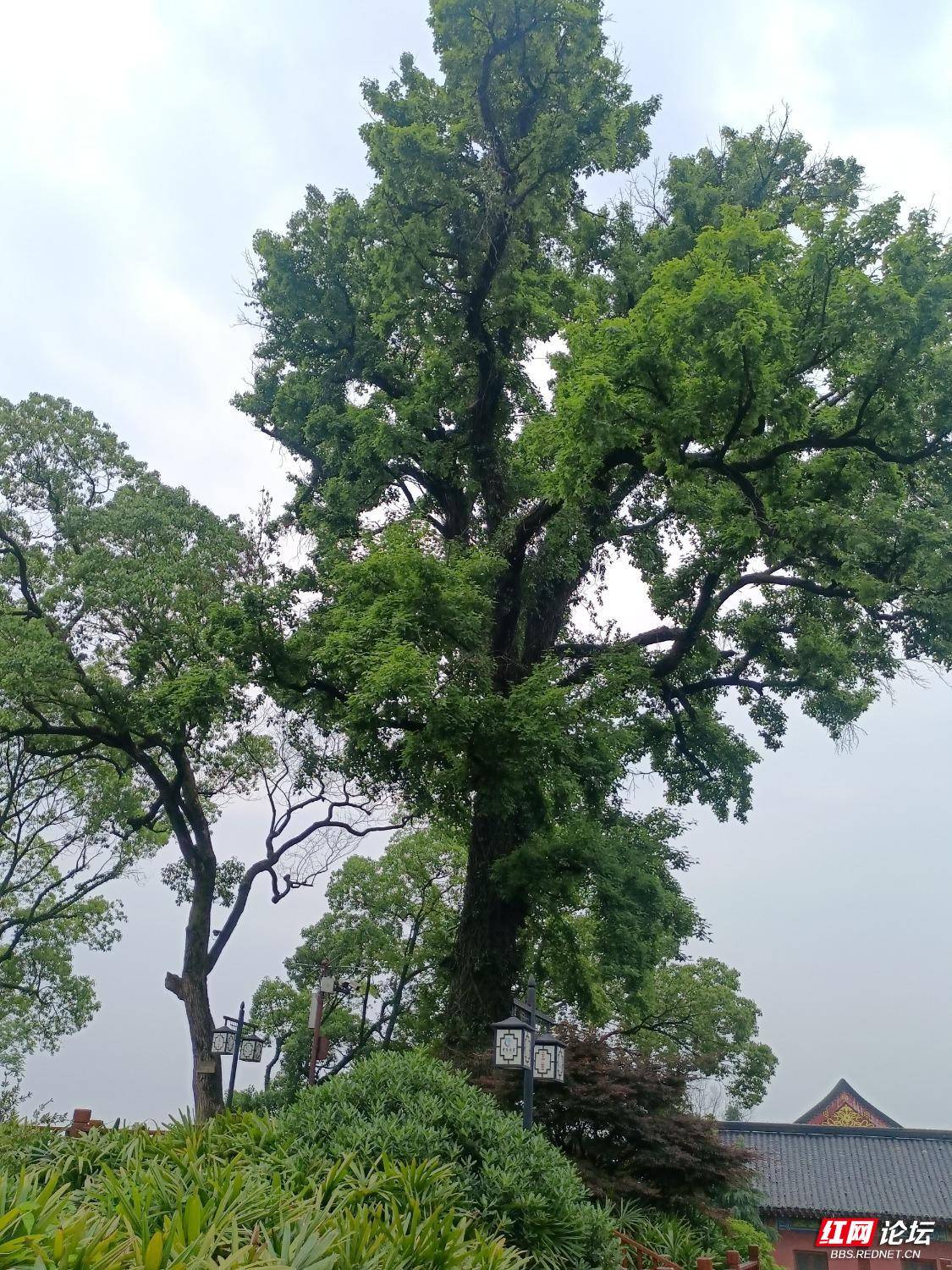 永州市零陵东山景区图片