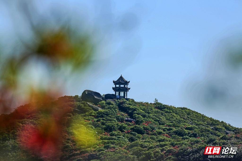 大围山七星岭图片